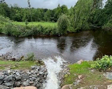 Rognstad Eiendom Elvebredden Hurdal Miljø 4